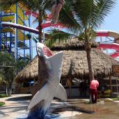 Parque acuatico en la riviera nayarit